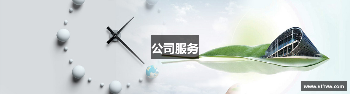公司服务